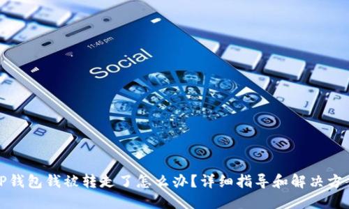 TP钱包钱被转走了怎么办？详细指导和解决方案