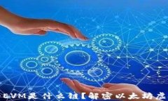 TP钱包中的EVM是什么链？解