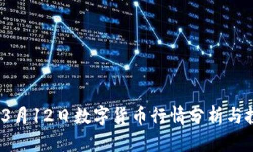 2023年3月12日数字货币行情分析与投资策略