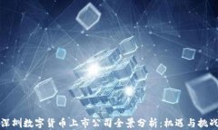 深圳数字货币上市公司全景分析：机遇与挑战