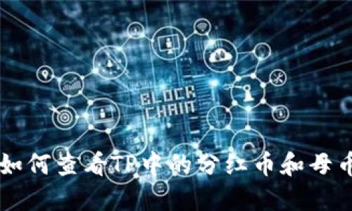 如何查看TP中的分红币和母币